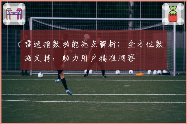 雷速指数功能亮点解析：全方位数据支持，助力用户精准洞察